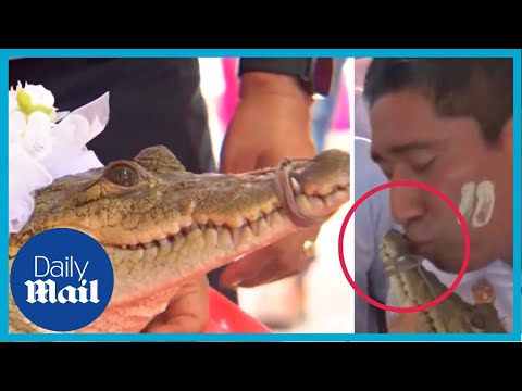 Mexican mayor kisses and marries alligator bride