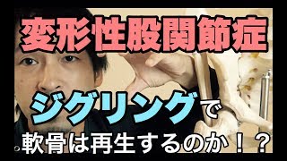 【変形性股関節症】ジグリングで軟骨が再生！？〈豊岡市　整体〉