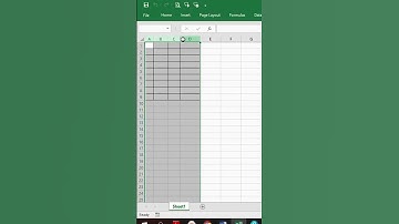 Autofit Column Width in Excel | Excel Tips and Tricks | Excel Pro Tricks #shorts #short #excel