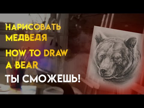 Как нарисовать медведя, нарисовать медведя поэтапно. Тату реализм Пермь. Drawing of a bear pencil