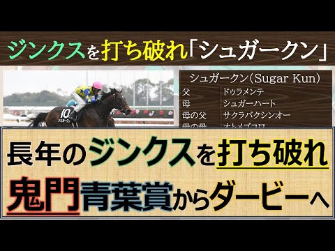 【ジンクスを破れ】青葉賞からダービー馬へ「シュガークン」の挑戦が楽しみ過ぎる！