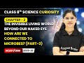 How are We Connected to Microbes? (Part-2) | Class 8 Science Curiosity | Chapter 2 | CBSE 2025-26