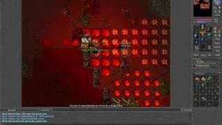 Tibia dragon solo
