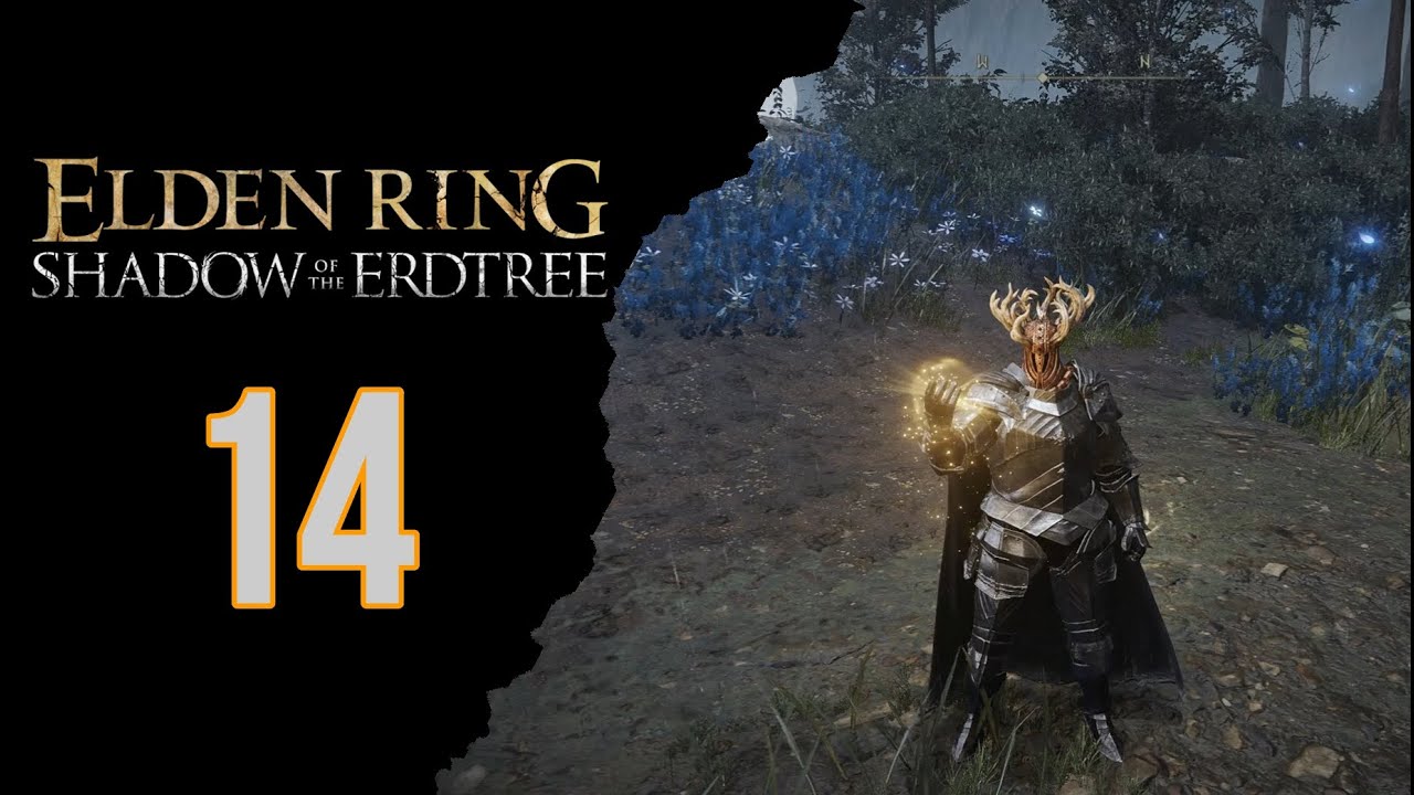 LA TOMBA NASCOSTA DI CHARO E COSTA CERULEA | ELDEN RING SHADOW OF THE ERDTREE | Gameplay ITA #14