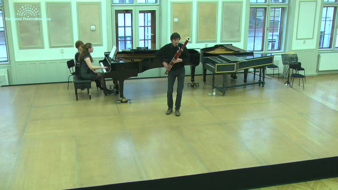 G. Rossini Bassoon concerto (1st movement) andrea bressan YouTube