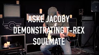 Aske Jacoby demonstrating SoulMate multi effect from T-Rex