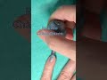 Nail Polish Swatch - Essence Chaos Queen