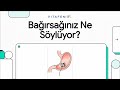 🤒 Mide Ağrısı, Üşütmesi, Bulantısı Neden Olur? | Belirtileri, Tedavisi, Ne Zaman Doktora Gidilmeli?