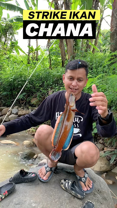 Apa nama ikan ini guys😱#fishing #mancing #mancingmania