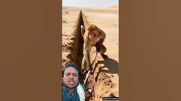 The monkey saved the custard apple plant from drying up by watering it 😭 #ai​ #save​ #tree​ #water​