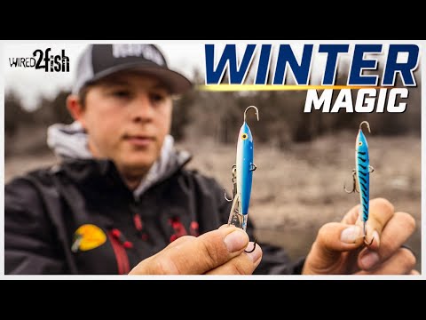 4 Proven Winter