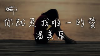 【動態歌詞/高音質】 潘美辰 - 你就是我唯一的愛 【我已失去了你 在這寒冷冬季裡】