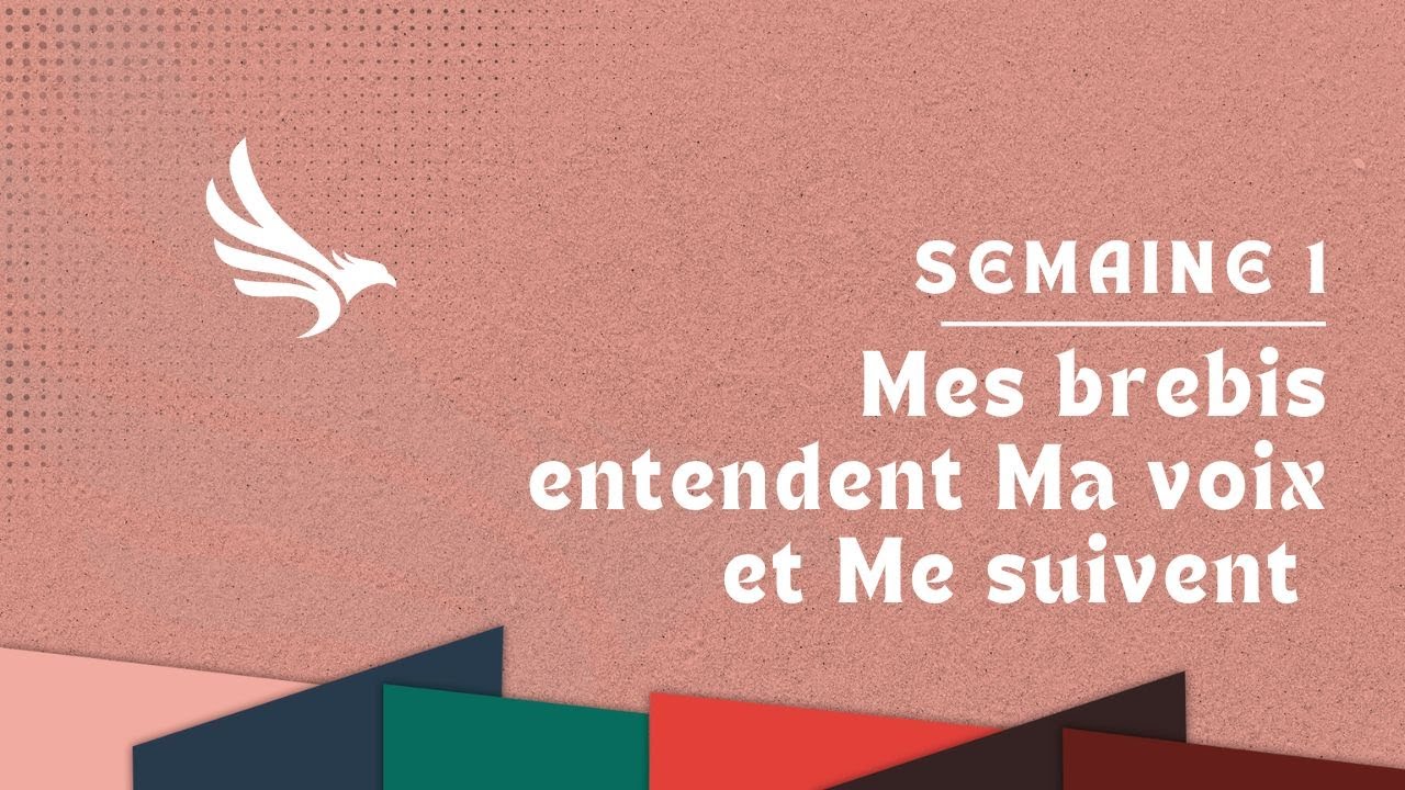 Sticker Mural Vinyle "Mes Moutons Entendent Ma Voix" - Verset Biblique 23x64 Cm, Neuf