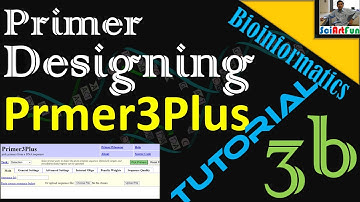 Primer Designing | Using Primer3Plus || Tutorial 3b