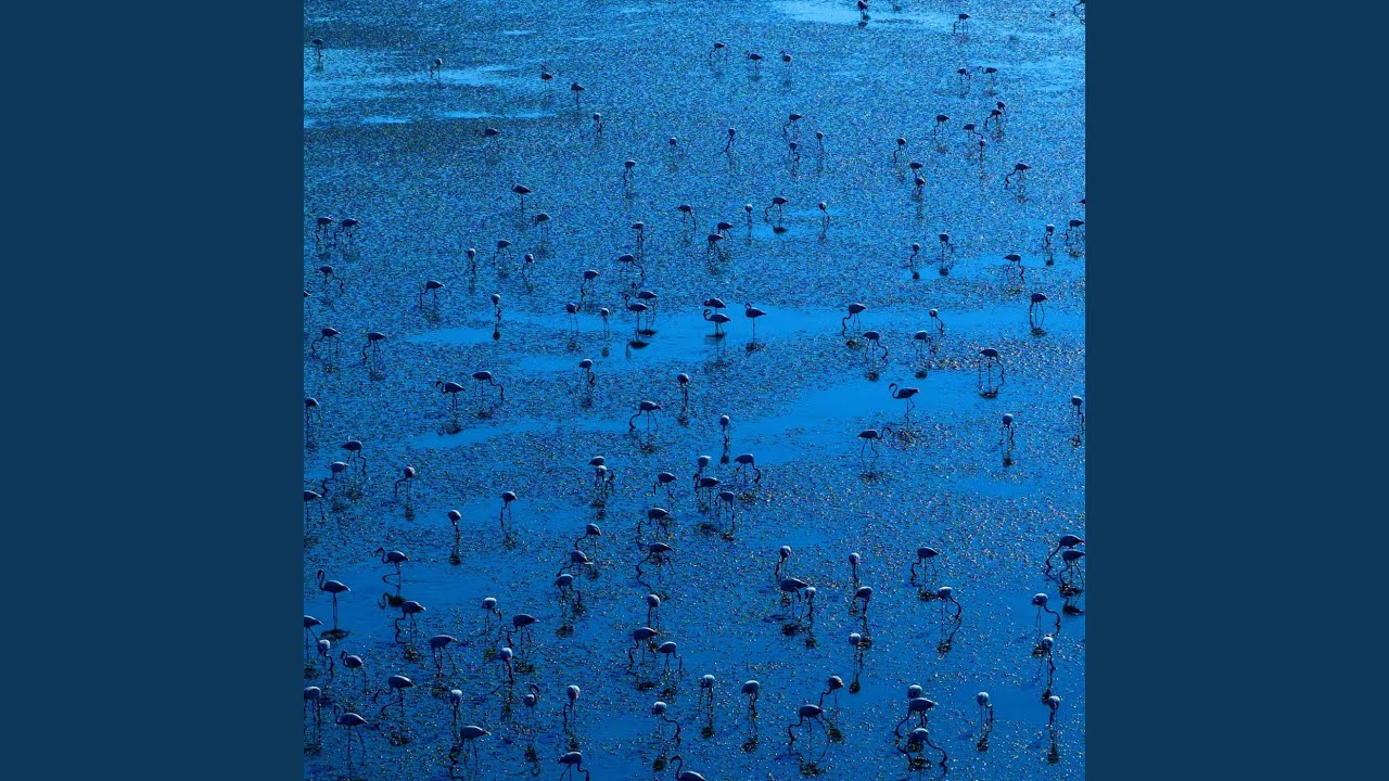 Fly auf YouTube ansehen Fly auf YouTube ansehen