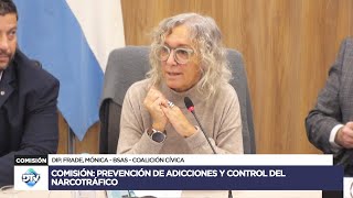 COMISIÓN EN VIVO: PREVENCIÓN DE ADICCIONES Y CONTROL DEL NARCOTRÁFICO - 28 de mayo de 2024 - HCDN