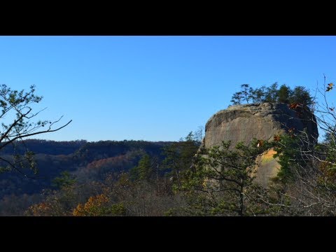 Video: Red River Gorge, Kentukis: Visas vadovas