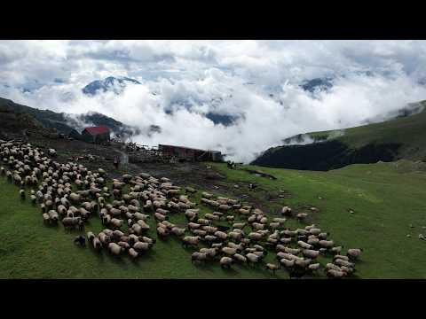 Bulutların Üstünde Zirvedeki Yaşam - Belgesel