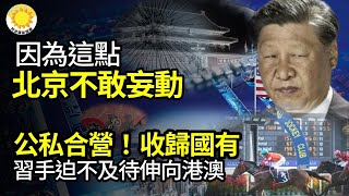 🔥因為這點，北京不敢妄動；公私合營！ 「收歸國有」習手迫不及待伸向港澳；出動「最銳利武器」北京新目標正是台灣立法院；升級 白俄參戰？ 傳北約也向白俄邊境派兵【阿波羅網WD】