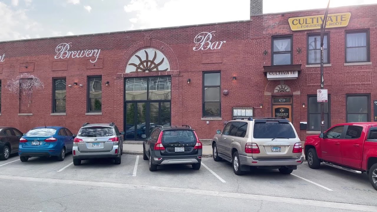 Chicago Scene on Malt Row