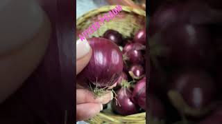 ОЧЕНЬ ПОЛЕЗНЫ! ЛУК и ЧЕСНОК.