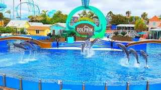 [June 2022] Dolphin Adventures Full Show  Seaworld San Diego