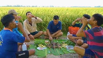 Ếch Nướng Trên Đồng Lúa Vàng | Nét Quê #294