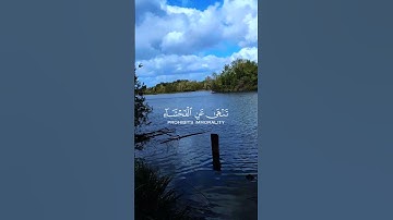 إن الصلاة تنهى عن الفحشاء و المنكر#قرآن كريم#قران_كريم #صلوا_على_النبي #المصحف