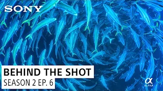 Cristina Mittermeier’s "Kingfish" Solo Dive | Behind The Shot S2 Ep. 6