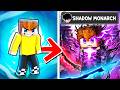 Minecraft But You Have SOLO LEVELING Powers...