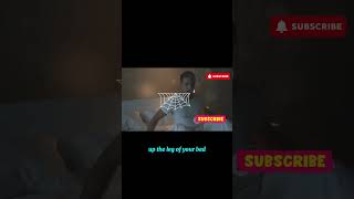 A Nighttime Visitor The Spiders Stealthy Journey