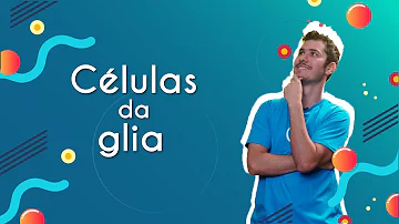 Quais são as funções das células da glia?