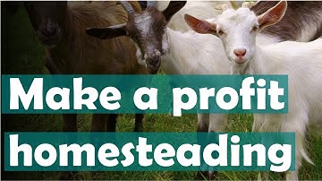 How to make money homesteading with these 5 animals: Raising animals for profit.