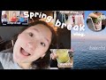 SPRING BREAK VLOG | food, boba, mall, road trip, and more!