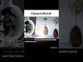 capsula mundi