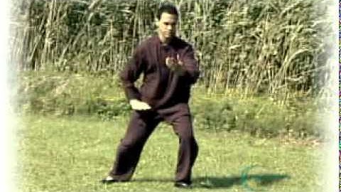 Tai Chi Parting Wild Horse's Mane