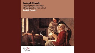 String Quartet in D Major, Op. 71 No. 2, Hob. III:70: II. Adagio