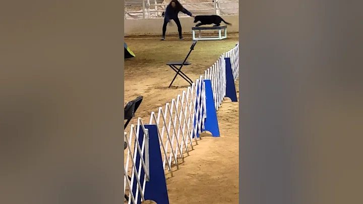 Margie & Brandi P3 standard