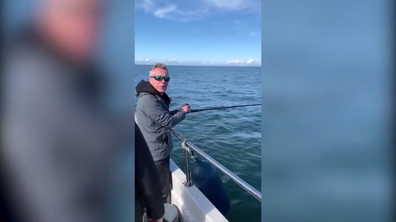 Mackerel fishing off Arbroath YouTube