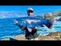 Solo camping on an uninhabited island | Blue Groper and Kingfish