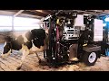 🐄Hoof care guide COWS HOOF CLEANING 🐄Big Cows Farm  Becoming a Hoof Trimmer