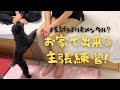 【噛み】簡単にできる主張練習!〜わがままな子にしないために〜