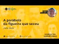 A Força do Espiritismo - A parábola da figueira que secou - Fabio Carvalho A Força do Espiritismo - A parábola da figueira que secou - Fabio Carvalho