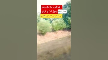 #explore #متابعه_ولايك_فضلا_وليس_امرآ #القرآن_الكريم #سورة_يس