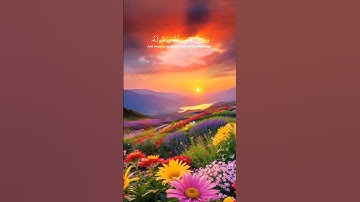 تلك حدود الله ومن يطع الله ورسوله يدخله جنات تجري من تحتها الأنهار # القرآن الكريم # جوهرة القرآن