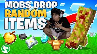 Beating Minecraft But Mobs Drop Random Items!!