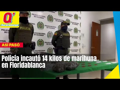 Policía incautó 14 kilos de marihuna en Floridablanca