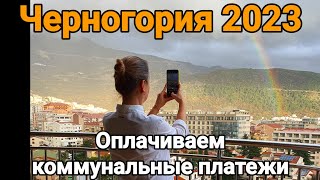 Черногория 2023 🇲🇪 | Сколько мы заплатили за январь| Встретились с подписчиками 😺