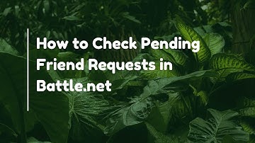 How to Check Pending Friend Requests in Battle.net