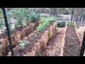 My straw bale garden